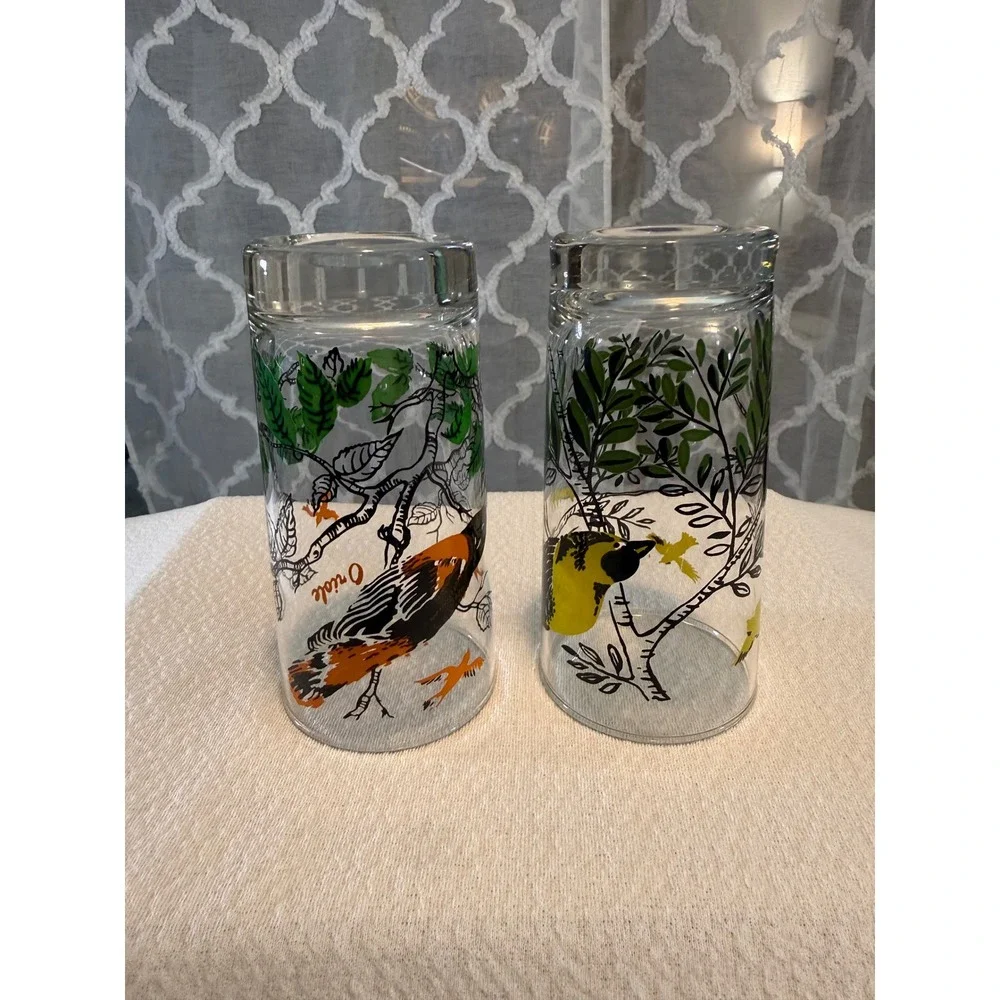 Vintage Bird Drinking Glasses Set of 2 Goldfinch and Oriole Highball Tumblers